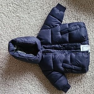 NWT Zara Puff Baby Boy Jacket Sz: 3-6months